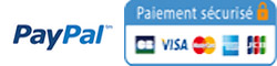 logo paypal